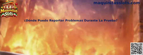 Guía para reportar problemas durante la prueba de Maquinitas Slots