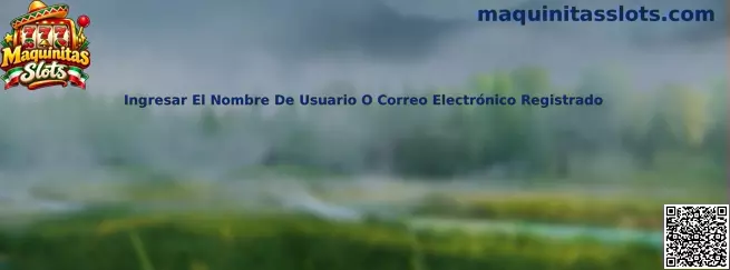 Ingresar El Nombre De Usuario O Correo Electrónico Registrado en Maquinitas Slots